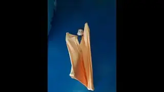 сенсорный чулок