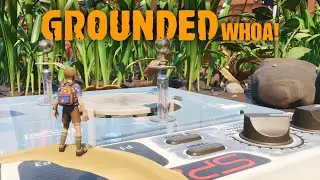 Getting started in Grounded WHOA!