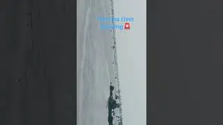 Yamuna river on his danger face #sound #river #warning