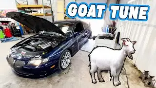 LS2 GTO Gets Tuned On The Hub Dyno! (Super Clean Car)