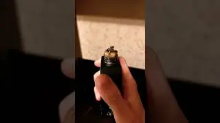 Petri v2 & LANSKOV COIL