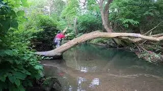 Limestoner 101. Spring creek sneak!