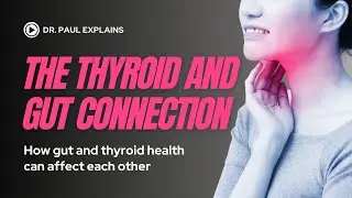 The Thyroid and Gut Connection