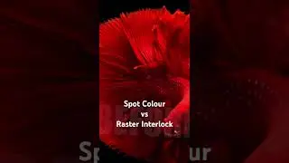 Spot Colour vs Raster Intetlock