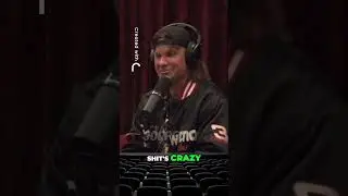 Theo Von on Alex Periera's Snake Mindset #shorts #mmaupdate