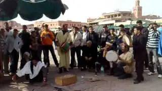 Snake Charmers Marrakech Morocco