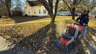 We Showed Up for One Yard… and Cleaned HALF THE BLOCK