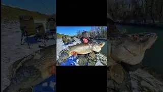Gro&szlig;hechte im Winter mit Pose #Hecht #Angeln mit #Pose | Dalke Fishing