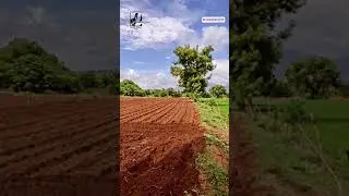 Groundnut field and ploughing organic agriculture land.