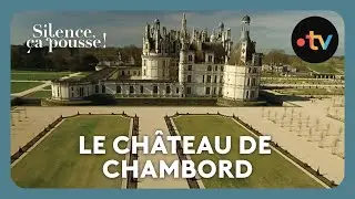 Le Château de Chambord - Silence, ça pousse !