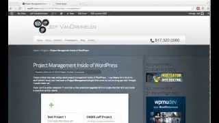 Project Management in WordPress