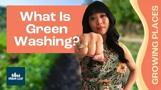 What Is Greenwashing, and Why Is It A Problem In Food? Wen-Jay Ying from Local Roots explains