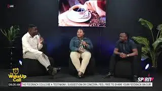 The Wake-Up Call - IVF and Church