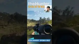 Berburu Rusa Sambar Spesies Indonesia - The Hunter Call of The Wild Indonesia #cotw #cotwindonesia