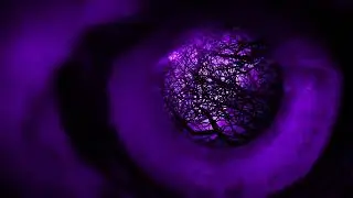 Vince Pastano & Noisebreakers - Darkest Night (OFFICIAL VISUALIZER)