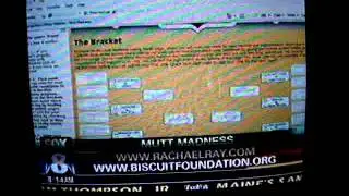 The Biscuit Foundation