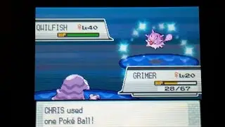 (Live) Shiny Qwilfish - Pokemon HeartGold Version (19,623 REs)