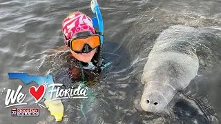 Swim with manatees at Plantation Adventure Center