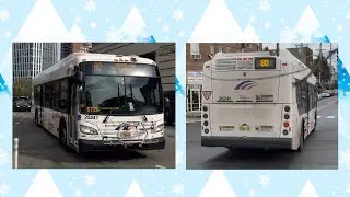 NJ Transit 80 GATES AVENUE VIA JOURNAL SQUARE MONTGOMERY/BERGEN (NFI XD40 #25241)