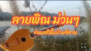 ลายพิณม่วนๆ l #ดนตรีพื้นบ้านอีสาน#ม่วนๆจ้า  
