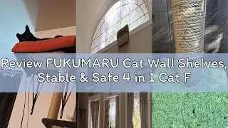 Review FUKUMARU Cat Wall Shelves, Stable & Safe 4 in 1 Cat Furniture Set, Wooden Climbing Wall with