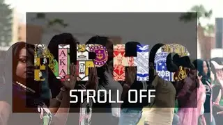 SHE RISKED IT ALL DURING THIS STROLL 😳🫢🫣 | Divine 9 NPHC Greeks Stroll After Probate