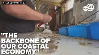 Mace reintroduces bill aimed at protecting South Carolina&rsquo;s fishing industry