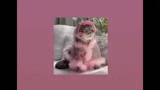 песни для кайфа🥰песни для уборки🌹