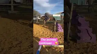 🌟6 weeks together #showjumping #ponyshorts #8yrsold #shorts #cutepony #kidsandponies #petshorts