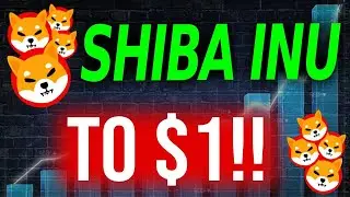 Netflix & Amazon Are Sending Shiba Inu Coin To $1!! - Shiba Inu Coin News Today
