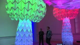 Counterculture 'Burning Man' art takes Washington by storm