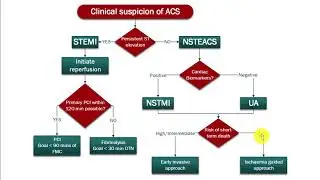 Pharmacotherapy | Acute Coronary Syndrome (ACS) | Part 2