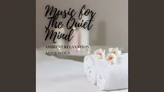 A Still Mind Music for Relaxation
