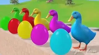 5 Giant Duck Cartoon,Paint & Animals Gorilla, Cow, Elephant, Teddy Wild Animals Crossing Fountain 