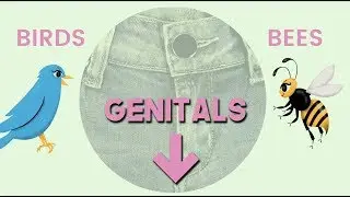 The Birds & The Bees Explained