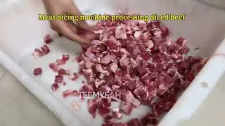 Automatic Pork Rib Cutting Machine TW-550B Teemyeah Machinery