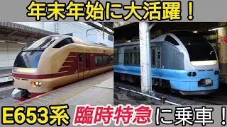 【ときわ45号】E653系の臨時特急に2本とも乗ってみた【水上号】