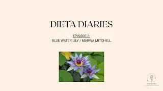 Master Plant Dietas and Blue Water Lily (