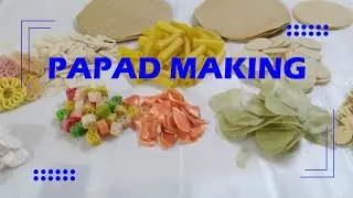 Papad তৈরীর ব্যবসার সংক্ষিপ্ত বিবরন, Papad Making
