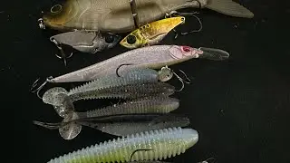 My top 5 baits for right now