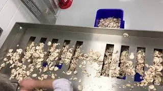 Portioning Mushrooms - CombiMaster Combination Weigher