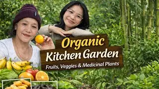 &ldquo;Organic Kitchen Garden Vlog| Fruits, Veggies & Medicinal Plants| Naturally Grown at Home&rdquo;