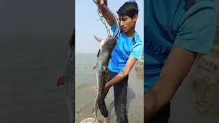 Trying to catch big fish using traditional methods #fishing #bigfish #fishinglife #hook #reels