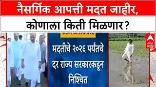 Maharashtra Disaster Relief | राज्य सरकारचा 'मदत' निर्णय, 'शेतकरी' आणि 'नागरिकांना' मिळणार 'लाभ'
