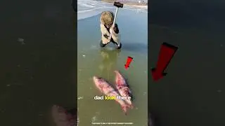 Helping Stranded Fish ~ A Life Changing Mission! 🐠😲 | #shorts #ytshorts