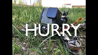 Only a Few Minutes to Fly