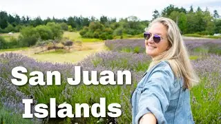 The Best Things To Do on San Juan Island | Friday Harbor