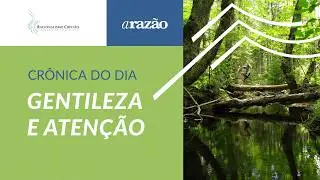 Crônica do Dia - Gentileza e atenção