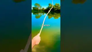 Tecnica di pesca primitiva #shorts #pesca #pescare #fishing #reelfishing #viral #reelfishingitalia