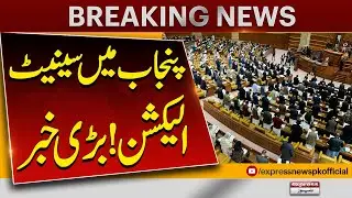 Senate elections in Punjab To Be Held On 21 July 2025| Pakistan News | Breaking News